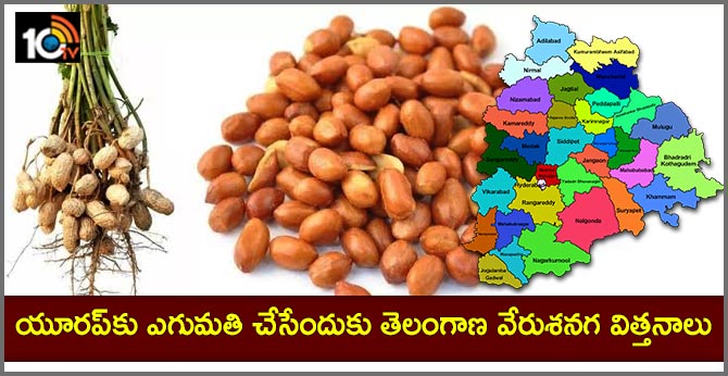 TELANGANA seeds ready to export Europe