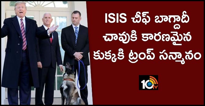 Trump honors ISIS-fighting dog Conan at White House