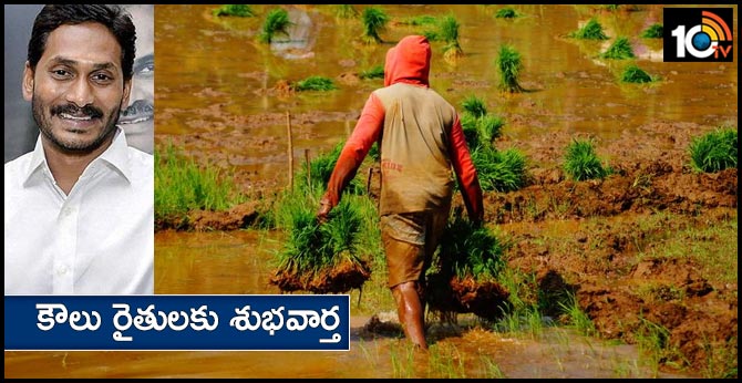 YSR RYTHU BHAROSA Scheme Compliance for Tenant farmers