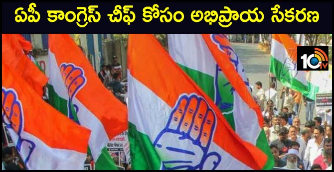 ap congress president