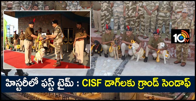 born as a dog retired as a soldier cisf honours canines on retirement