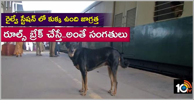 రైల్వే స్టేషన్ లో కుక్క ఉంది జాగ్రత్త : రూల్స్ బ్రేక్ చేస్తే..అంతే సంగతులు రైల్వే స్టేషన్ లో కుక్క ఉంది జాగ్రత్త : రూల్స్ బ్రేక్ చేస్తే..అంతే సంగతులు