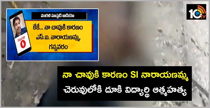 degree student commits suicide