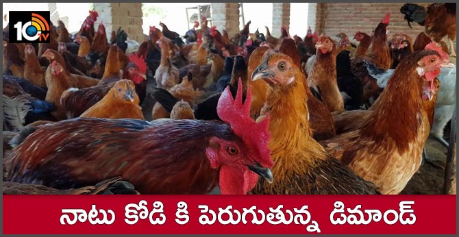 demand for country chicken