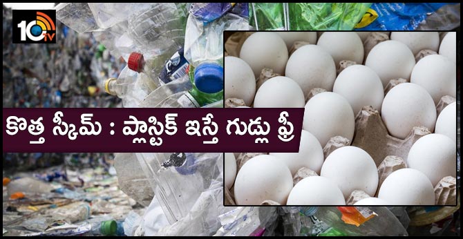 eggs free for plastic