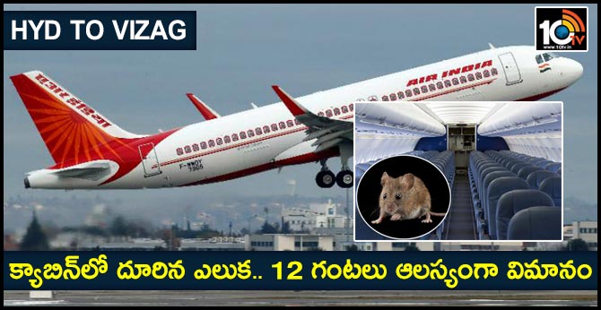 rat found board hyderabad vizag air india flight delays take