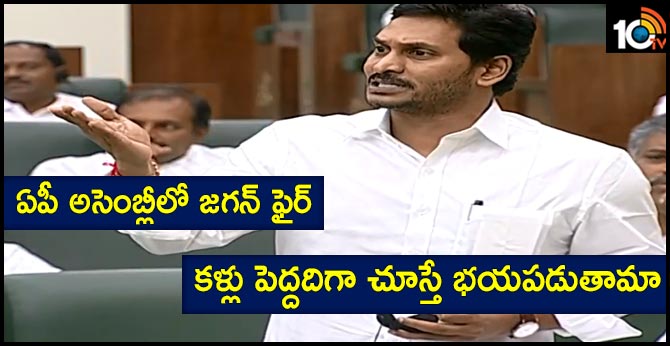 CM Jagan Fire in AP Assembly