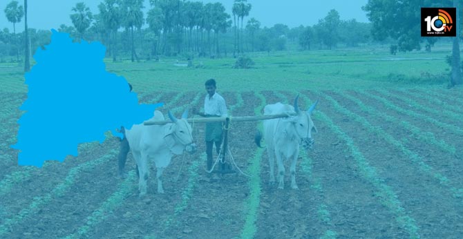 Deadline increase for resolving land regularization applications