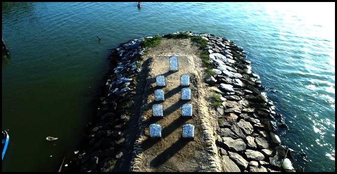 Dying fish get world’s first marine cemetery in Kozhikode