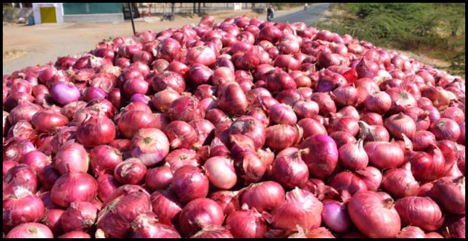 Egypt Onion To Hyderabad turquie Onidon Delhi