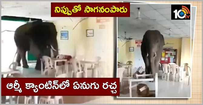 నిప్పుతో సాగనంపారు: ఆర్మీ క్యాంటిన్లో ఏనుగు రచ్చ నిప్పుతో సాగనంపారు: ఆర్మీ క్యాంటిన్లో ఏనుగు రచ్చ