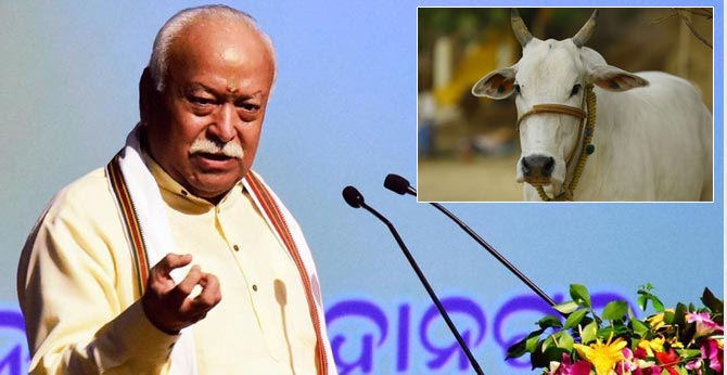 జైళ్లల్లో గోశాలలు ఏర్పాటు చేయాలి…ఆర్ఎస్ఎస్ చీఫ్ జైళ్లల్లో గోశాలలు ఏర్పాటు చేయాలి…ఆర్ఎస్ఎస్ చీఫ్