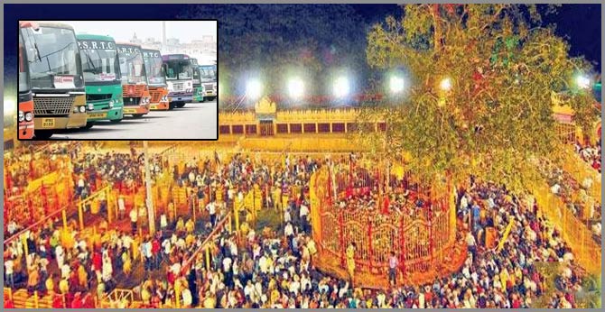 Telangana RTC to operate 4,000 buses to Medaram Sammakka-saralamma jatara