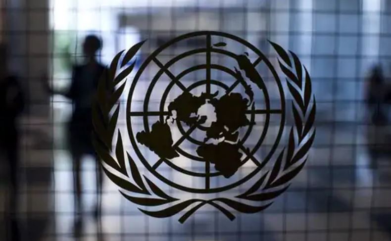 Citizenship Law "Discriminatory" Against Muslims, Says UN