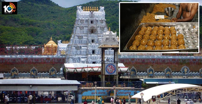 free laddu for tirumal devotees