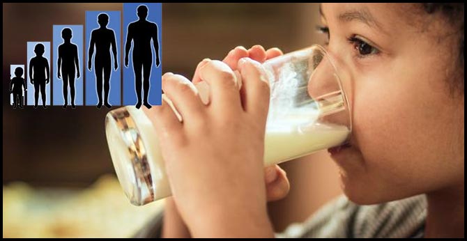 Does milk really make you grow taller?