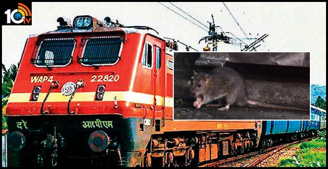 mumbai railways spent Rs.1.5 crore rat kill