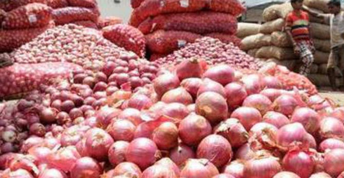 onion price decreased nationwide
