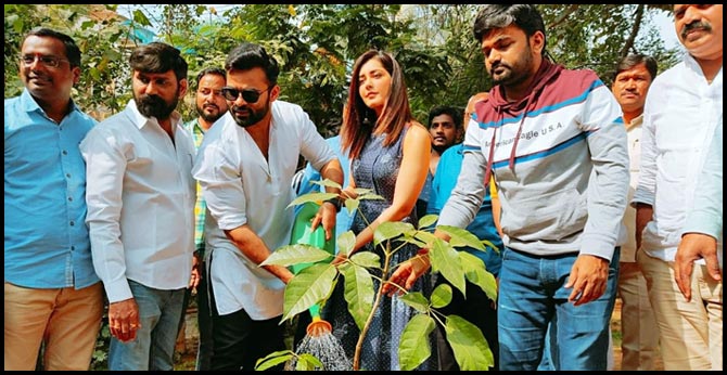 sai dharam tej, rashi khanna plant trees