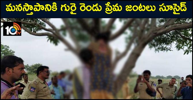 ప్రేమిస్తే చావేనా : రెండు ప్రేమ జంటలు సూసైడ్ ప్రేమిస్తే చావేనా : రెండు ప్రేమ జంటలు సూసైడ్