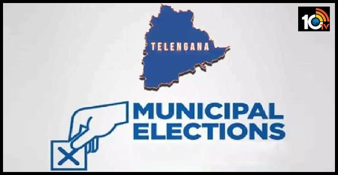 12956 members contest in municipal elections
