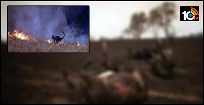 Australia Deploys Military Reservists To Combat Wildfire