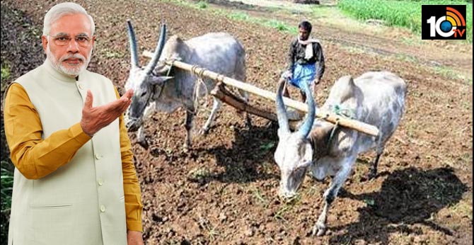Budget 2020 | Two agriculture initiatives in the pipeline