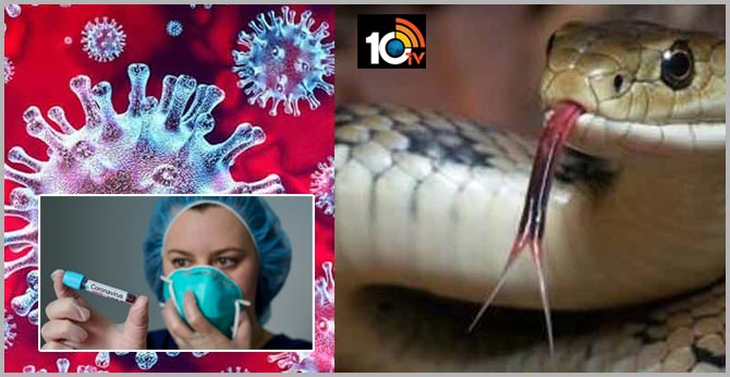 China coronavirus spreads worldwide : Cancel your trip to China and other countries
