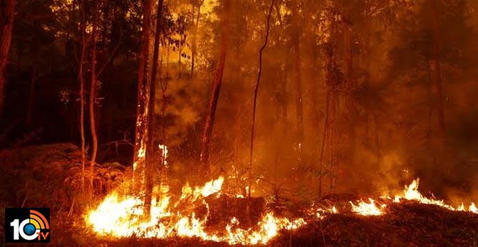 Help Victims Australia Fire