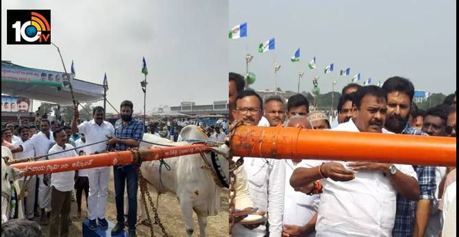ఎడ్ల పందాల్లో పాల్గొన్న కొడాలి నాని..జనసేన ఎమ్మెల్యే..సంచలన వ్యాఖ్యలు ఎడ్ల పందాల్లో పాల్గొన్న కొడాలి నాని..జనసేన ఎమ్మెల్యే..సంచలన వ్యాఖ్యలు
