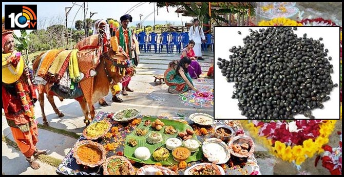 కనుమ నాడు మినుము తినాలి.. ఎందుకంటే.. కనుమ నాడు మినుము తినాలి.. ఎందుకంటే..