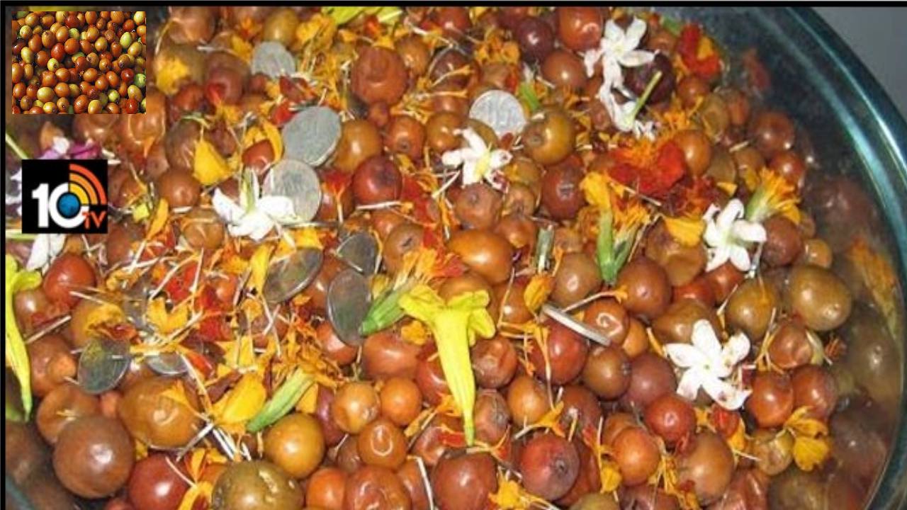 Makar Sankranti 2024: భోగి పండ్ల ప్రాముఖ్యత Makar Sankranti 2024: భోగి పండ్ల ప్రాముఖ్యత