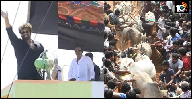 రంగంపేటలో జల్లికట్టు : మోహన్ బాబు, మంచు మనోజ్ స్పెషల్ అట్రాక్షన్ రంగంపేటలో జల్లికట్టు : మోహన్ బాబు, మంచు మనోజ్ స్పెషల్ అట్రాక్షన్