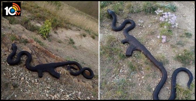 Snake Swallow AK-47 Gun