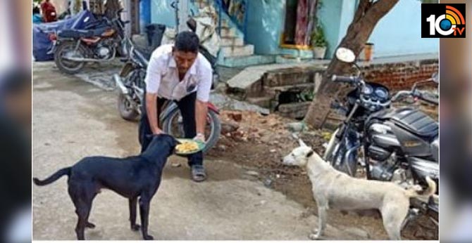 పెంపుడు కుక్క చనిపోయిన రోజు : వీధి కుక్కలకు బిర్యానీతో విందు పెంపుడు కుక్క చనిపోయిన రోజు : వీధి కుక్కలకు బిర్యానీతో విందు