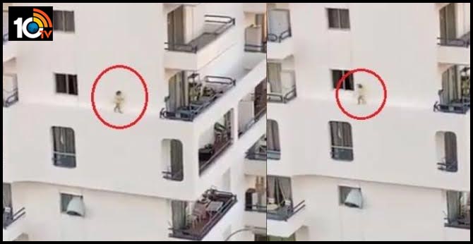 Viral Video: Child Walks On Building Ledge On Third Floor