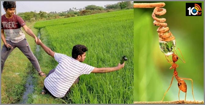 వావ్..యువ ఫోటోగ్రాఫర్ మైక్రో ఫోటోస్..చూస్తే కళ్లు తిప్పుకోలేరు వావ్..యువ ఫోటోగ్రాఫర్ మైక్రో ఫోటోస్..చూస్తే కళ్లు తిప్పుకోలేరు