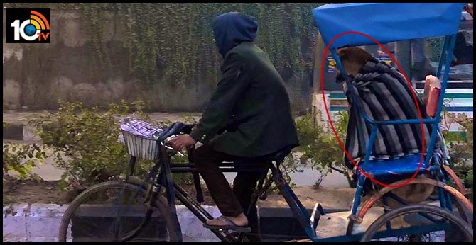 Photos of a Delhi rickshaw transporting a blanket-covered stray dog go viral