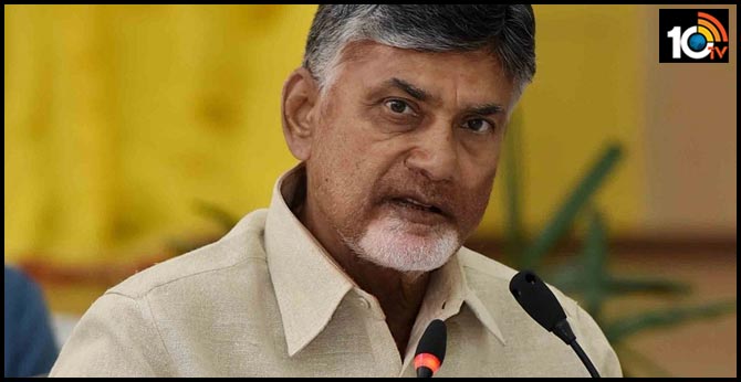 tdp focus on local body elections
