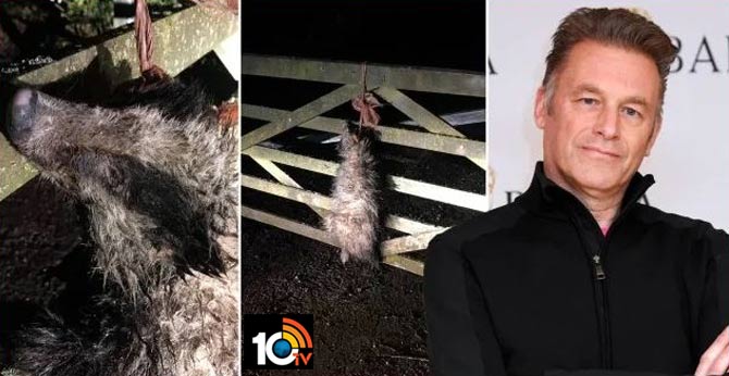 BBC Anchor Chris Packham Finds Dead Badger Tied To His Gate By Sick Vandals