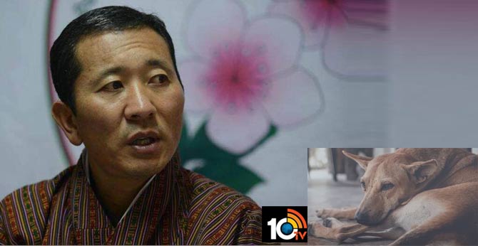 Bhutan PM asks citizens to adopt stray dogs as birthday gift to King