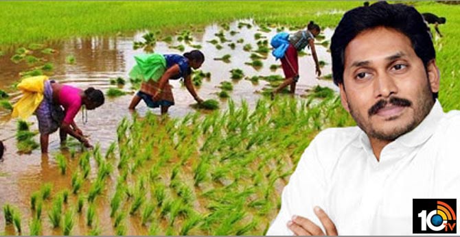 అగ్రికల్చర్ మిషన్పై జగన్ సమీక్ష : రైతు నష్టపోకూడదు..పరిస్థితిలో మార్పు రావాలి అగ్రికల్చర్ మిషన్పై జగన్ సమీక్ష : రైతు నష్టపోకూడదు..పరిస్థితిలో మార్పు రావాలి
