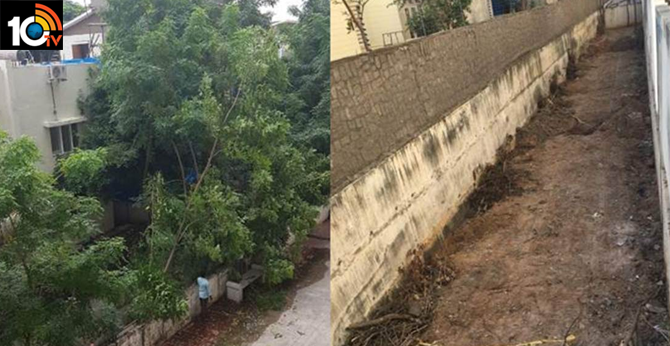 Hyderabad: Gated community slapped with Rs 53k fine for felling 40 trees on its premises