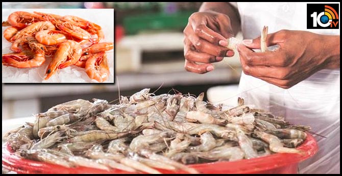 Kovid's effect.. reduced the prawns exports to abroad