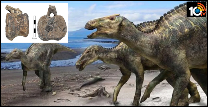 Rare disease among children discovered in 66-million-year-old dinosaur tumor