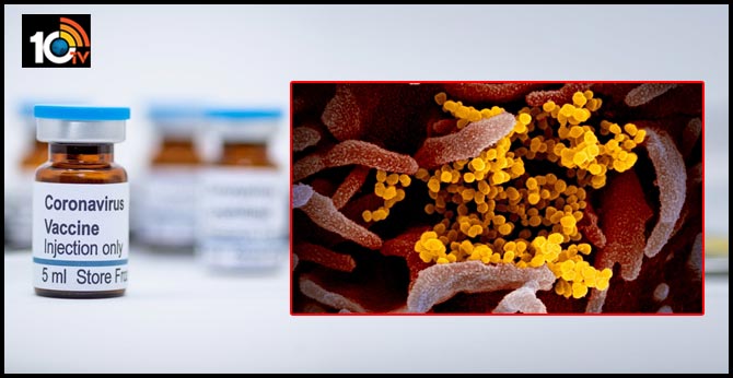 Covid 19 Virus Moderna Biotech Company