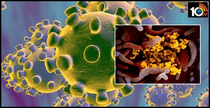 carona pandemic: deadly panic corona - how does infection develop and spread?