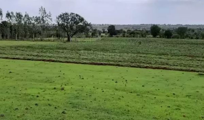 jAGIR lAND
