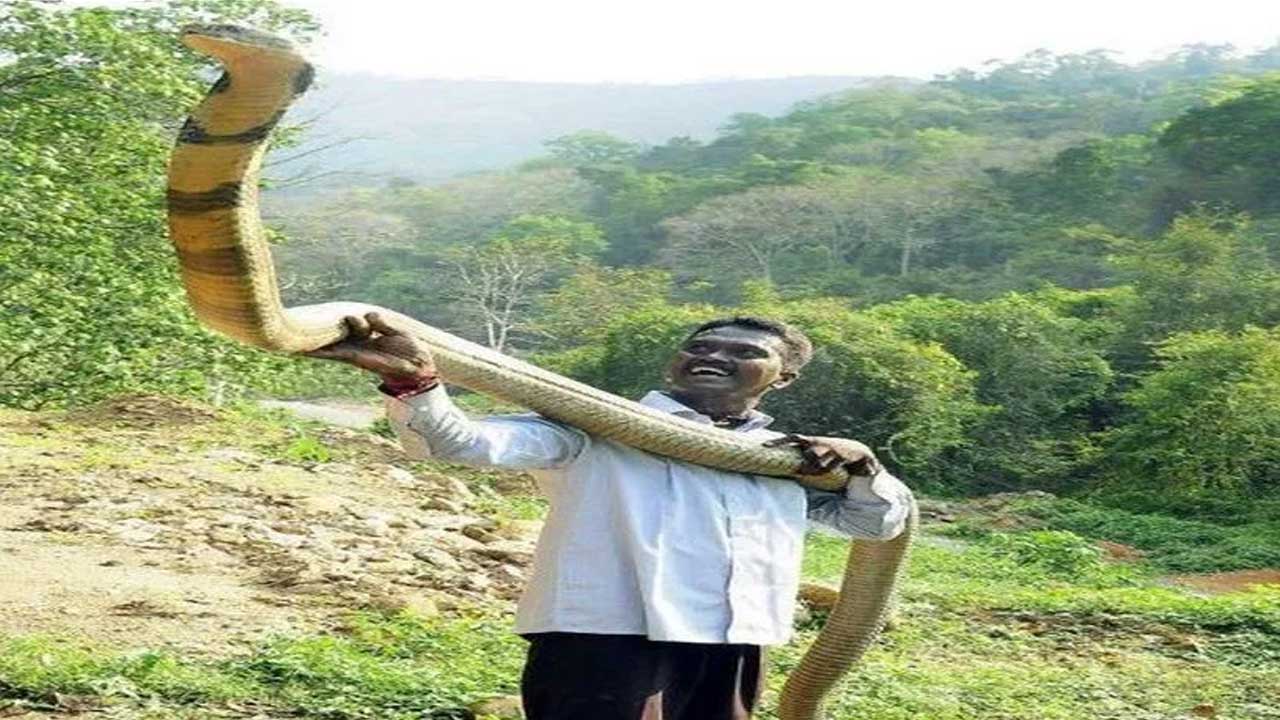 పాములతో ఆడుకునే వాడు.. ఇప్పుడు ప్రాణాపాయ స్థితిలో ఉన్నాడు పాములతో ఆడుకునే వాడు.. ఇప్పుడు ప్రాణాపాయ స్థితిలో ఉన్నాడు