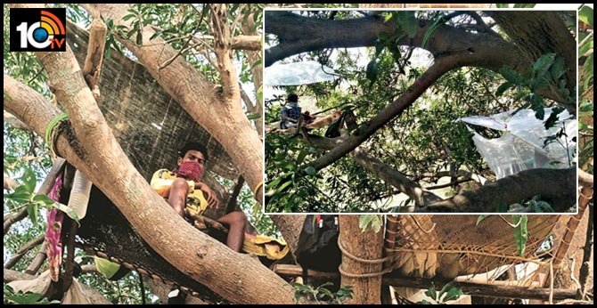 14 రోజులుగా చెట్టుపైనే క్వారంటైన్లో ఏడుగురు కార్మికులు 14 రోజులుగా చెట్టుపైనే క్వారంటైన్లో ఏడుగురు కార్మికులు
